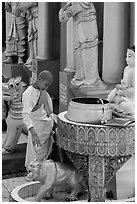 Nun pouring water at planetary post. Yangon, Myanmar ( black and white)