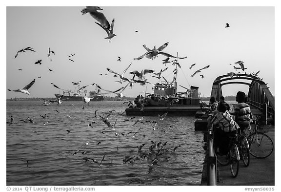 Children on bicycle feed seagulls on the Yangon River. Yangon, Myanmar (black and white)