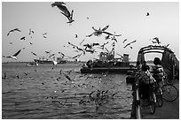 Children on bicycle feed seagulls on the Yangon River. Yangon, Myanmar ( black and white)