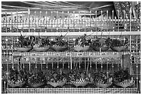 Baskets of fruit offerings, Chauk Htat Kyi Pagoda. Yangon, Myanmar ( black and white)