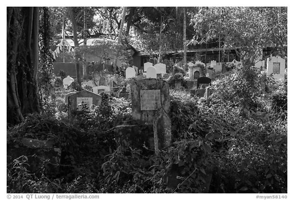 Graves and vegetation in Muslim Cemetery. Yangon, Myanmar (black and white)