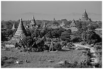 Rural scene with cattle and peasants working in fields below pagodas. Bagan, Myanmar ( black and white)
