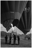 Hot air balloons before take off. Bagan, Myanmar ( black and white)