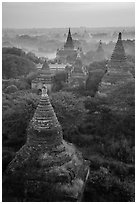 Aerial view of ancient temples. Bagan, Myanmar ( black and white)