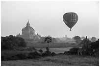 Hot air ballon and Thatbyinnyu temple. Bagan, Myanmar ( black and white)