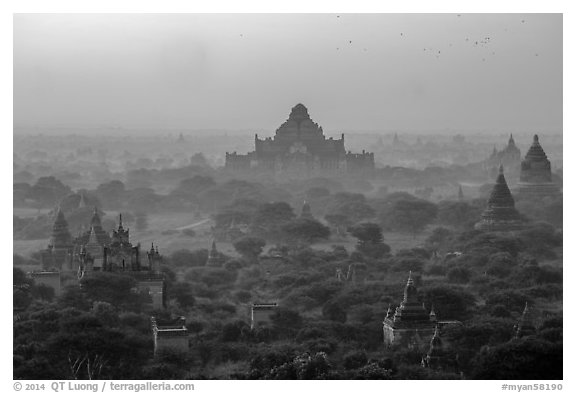 Aerial view of ancient temples in sunrise mist. Bagan, Myanmar (black and white)