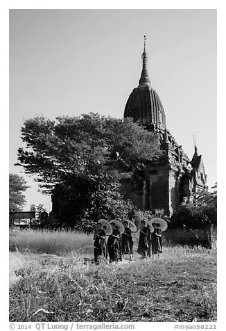Novices holding red sun umbrellas walk from temple. Bagan, Myanmar (black and white)