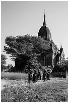 Novices holding red sun umbrellas walk from temple. Bagan, Myanmar ( black and white)