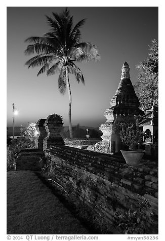 Palm tree and stupa at sunset. Bagan, Myanmar (black and white)