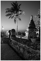 Palm tree and stupa at sunset. Bagan, Myanmar ( black and white)