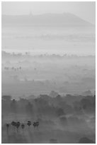 Ridges in mist at sunrise seen from Mandalay Hill. Mandalay, Myanmar ( black and white)