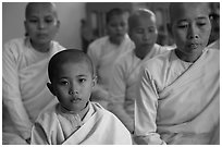Nuns, Zayar Theingi Nunnery, Sagaing. Myanmar ( black and white)