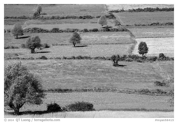 Colorful mosaic of cultivated fields. Shan state, Myanmar (black and white)