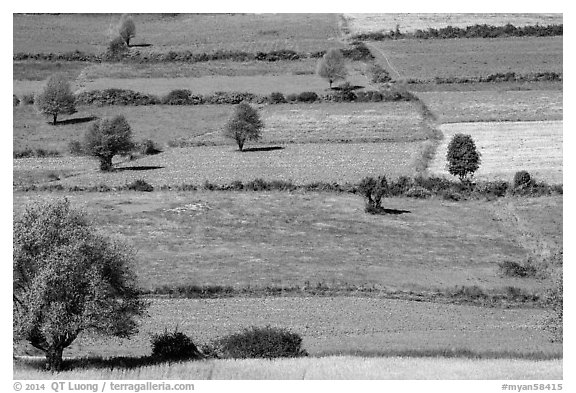 Colorful mosaic of cultivated fields. Shan state, Myanmar (black and white)