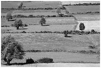 Colorful mosaic of cultivated fields. Shan state, Myanmar ( black and white)