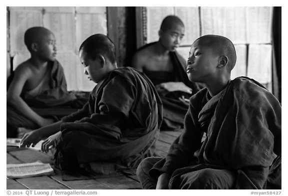 Buddhist monks studying, Shweyanpyay Monastery, Nyaung Shwe. Inle Lake, Myanmar (black and white)