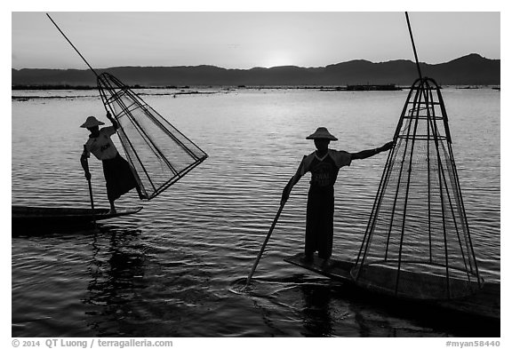 Intha fishermen lifting traditional conical net at sunset. Inle Lake, Myanmar (black and white)
