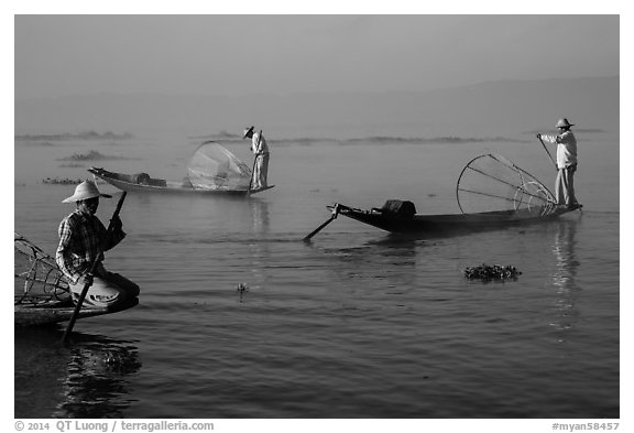 Intha fishermen rowing boats in early morning mist. Inle Lake, Myanmar (black and white)