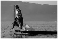 Fisherman pulling up net while leg-rowing. Inle Lake, Myanmar ( black and white)
