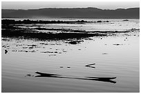 Sunken canoe at sunset. Inle Lake, Myanmar ( black and white)