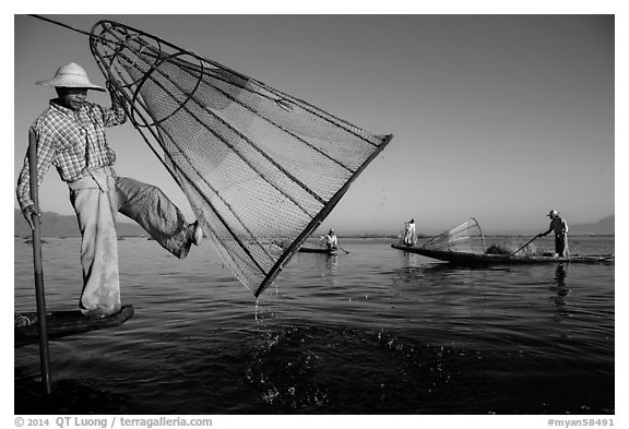 Intha fisherman lifting conical net basket. Inle Lake, Myanmar (black and white)