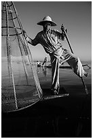 Intha fisherman prepares to release conical basket. Inle Lake, Myanmar ( black and white)