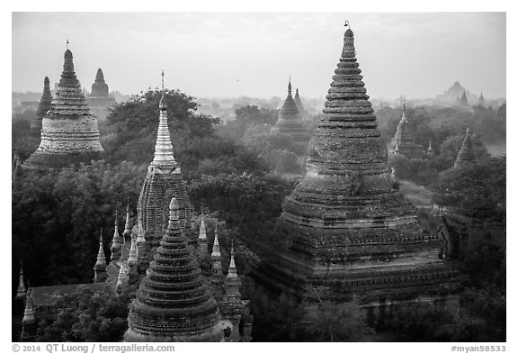 Dense array of ancient temples. Bagan, Myanmar (black and white)