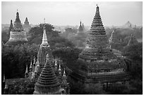 Dense array of ancient temples. Bagan, Myanmar ( black and white)