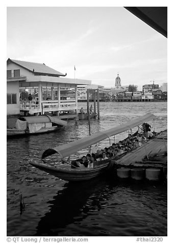Evening commute, long tail taxi boat on Chao Phraya river. Bangkok, Thailand (black and white)