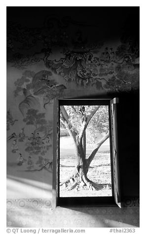 Tree seen through window. Muang Boran, Thailand