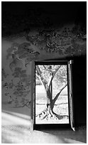 Tree seen through window. Muang Boran, Thailand (black and white)