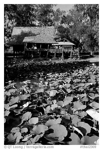 Stilt house on lotus pond. Muang Boran, Thailand (black and white)