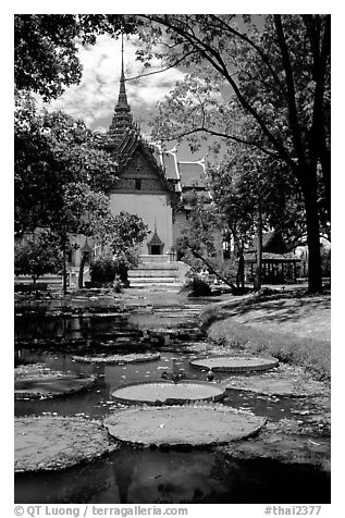 Lotus pond and Ayuthaya-style temple. Muang Boran, Thailand (black and white)
