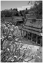 Blooming tree and rooftops. Muang Boran, Thailand ( black and white)