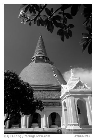 Phra Pathom Chedi, the tallest buddhist monument in the world. Nakhon Pathom, Thailand (black and white)