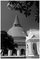 Phra Pathom Chedi, the tallest buddhist monument in the world. Nakkhon Pathom, Thailand (black and white)