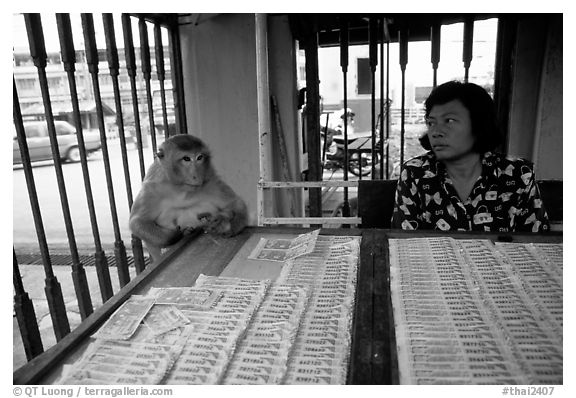 Lottery tickets vendor and monkey, San Phra Kan. Lopburi, Thailand (black and white)