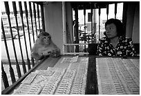 Lottery tickets vendor and monkey, San Phra Kan. Lopburi, Thailand (black and white)