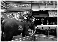 Elephant Parking. Lopburi, Thailand ( black and white)