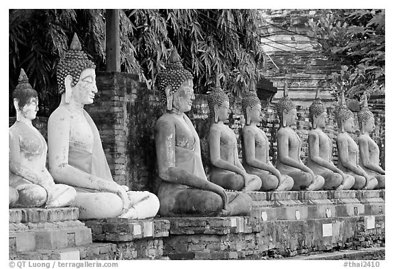 Buddha statues, swathed in sacred cloth as a sign of reverence, Wat Chai Mongkon. Ayuthaya, Thailand
