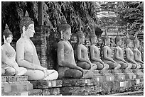 Buddha statues, swathed in sacred cloth as a sign of reverence, Wat Chai Mongkon. Ayuthaya, Thailand (black and white)