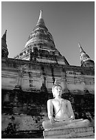 Buddha statue and Wat Chai Mongkon. Ayuthaya, Thailand (black and white)