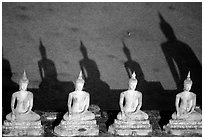 Buddha images and shadows, Wat Chai Mongkon. Ayutthaya, Thailand ( black and white)