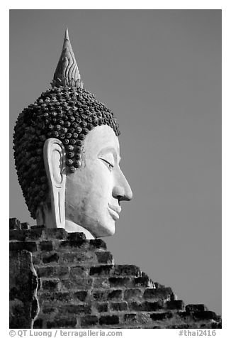 Buddha head, Wat Chai Mongkon. Ayutthaya, Thailand (black and white)