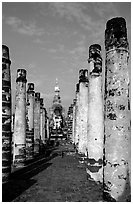 Ruined columns. Sukothai, Thailand (black and white)