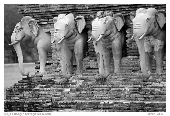 Some of the 36 elephants at the base of Wat Cahang Lom. Sukothai, Thailand (black and white)