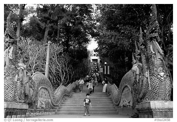Naga (snake) staircase leading to Wat Phra That Doi Suthep. Chiang Mai, Thailand (black and white)