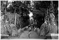 Naga (snake) staircase leading to Wat Phra That Doi Suthep. Chiang Mai, Thailand (black and white)