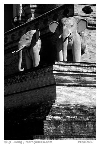 Elephants at Wat Chedi Luang. Chiang Mai, Thailand