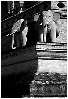 Elephants at Wat Chedi Luang. Chiang Mai, Thailand ( black and white)